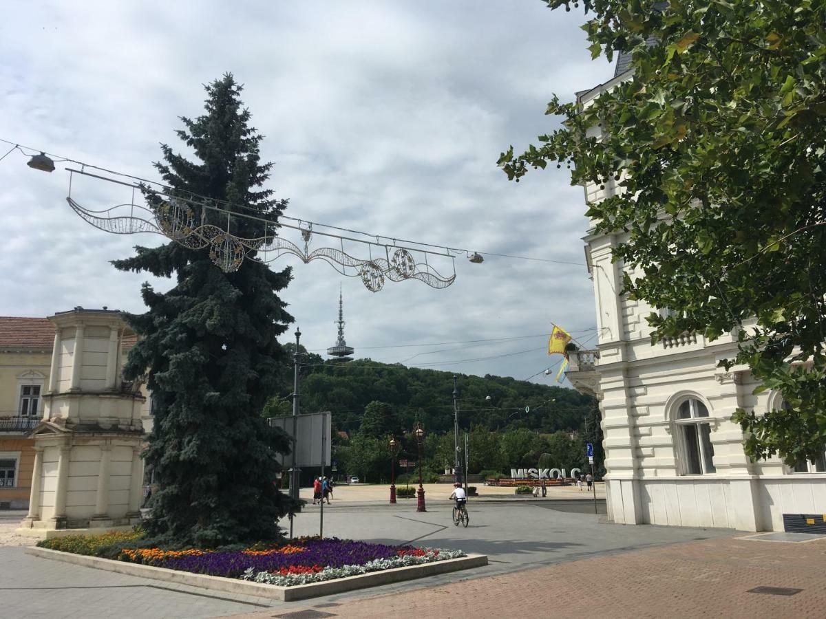 Mse Apartman Miskolc Bagian luar foto