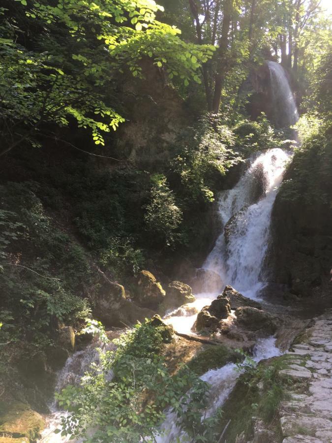 Mse Apartman Miskolc Bagian luar foto