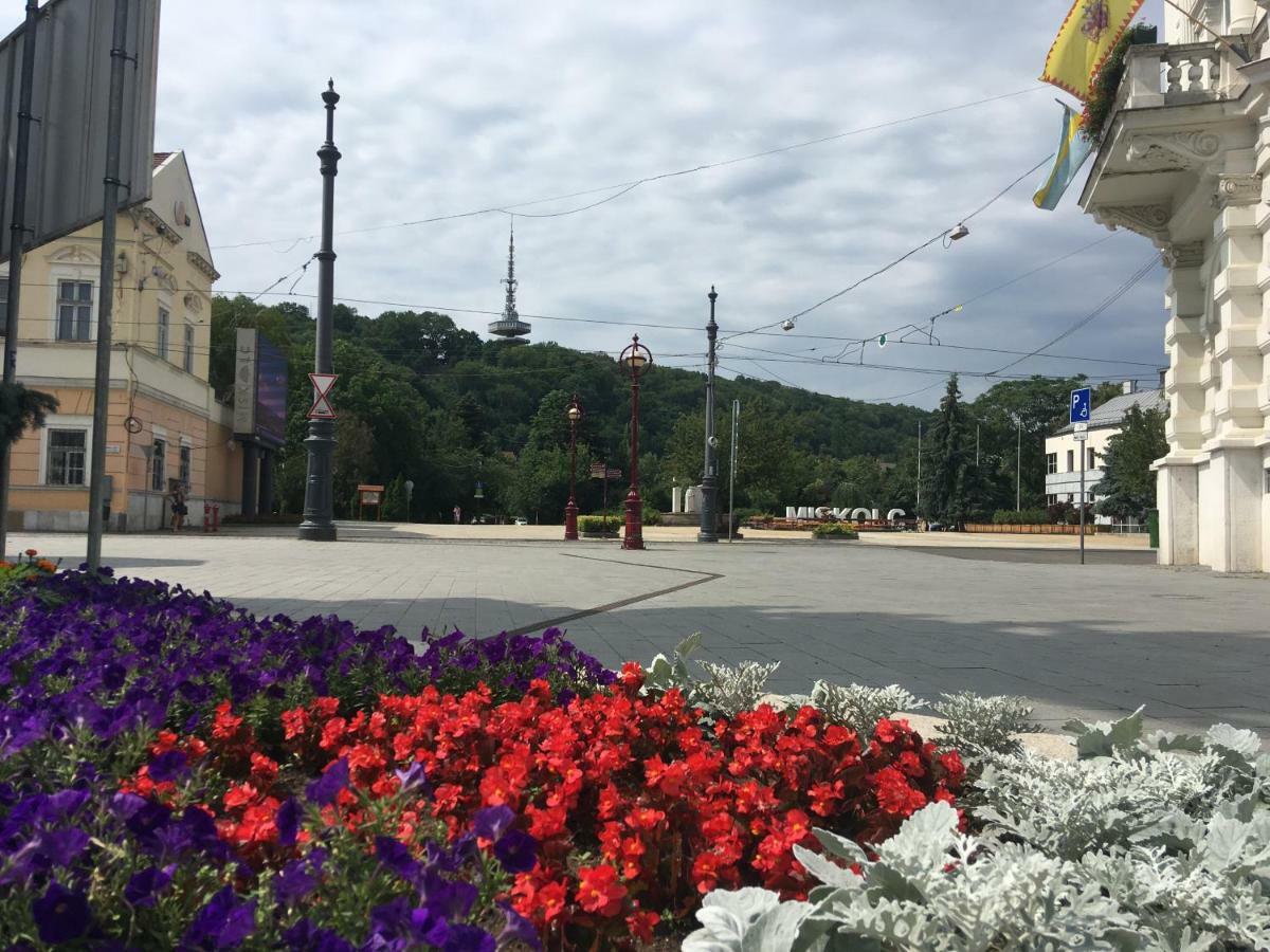 Mse Apartman Miskolc Bagian luar foto