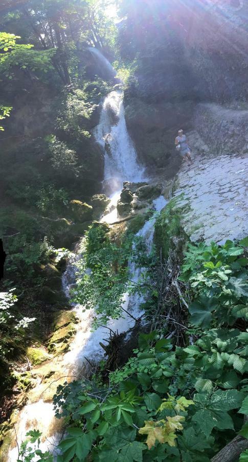 Mse Apartman Miskolc Bagian luar foto