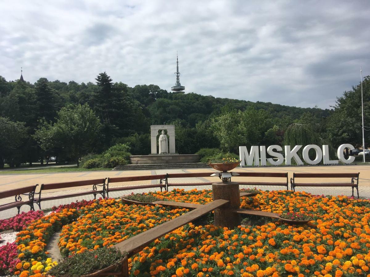 Mse Apartman Miskolc Bagian luar foto