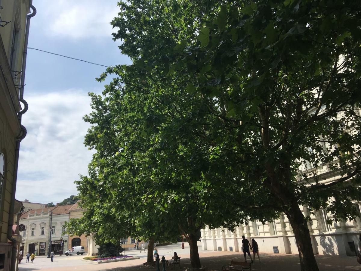 Mse Apartman Miskolc Bagian luar foto
