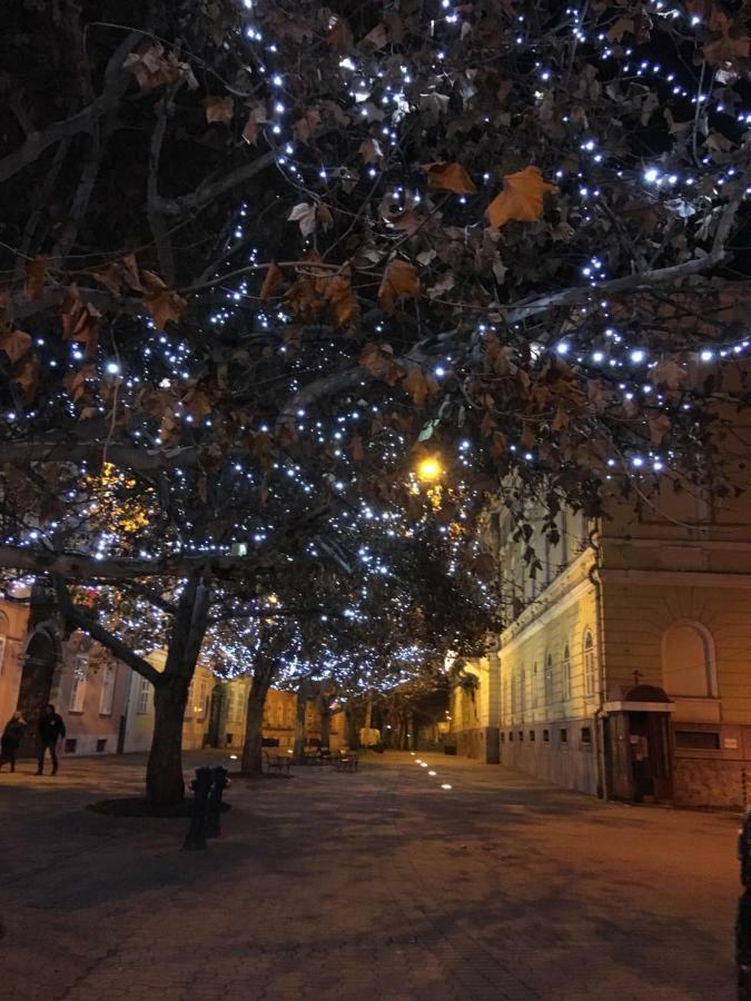 Mse Apartman Miskolc Bagian luar foto